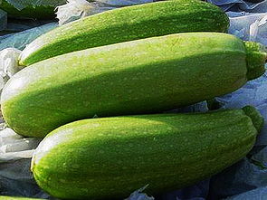 關于西葫蘆的詩句