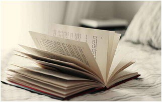 關(guān)于讀書的格言詩句