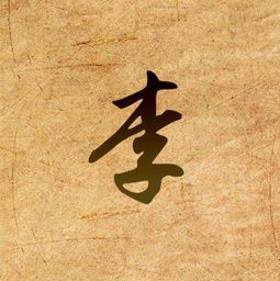 古詩(shī)里有李的詩(shī)句