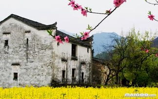 關(guān)于鄉(xiāng)村田園生活的古詩句