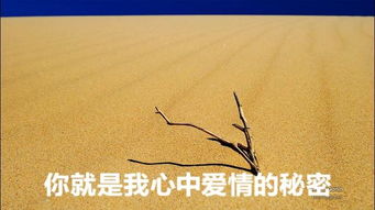 祝你,詩(shī)句,幸福