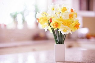 描寫人的下半生的古詩(shī)句