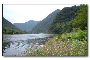 描繪山清水秀的古詩句