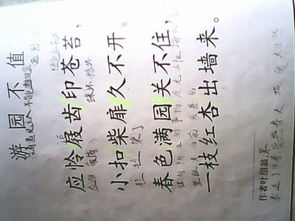 輕描淡寫,詩句,詩中