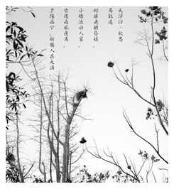 關(guān)于蘭州家鄉(xiāng)的詩句