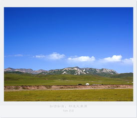 關(guān)于大草原風(fēng)光的詩(shī)句