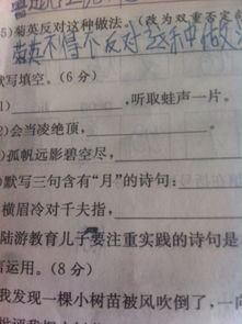 明月問渠的古詩(shī)句