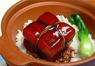 關(guān)于描寫東坡肉的詩(shī)句或詞句,蘇軾描寫東坡肉的詩(shī)句,描寫東坡肉好吃的詩(shī)句