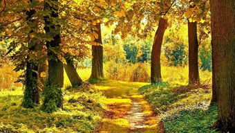 關(guān)于深秋傷感的詩句