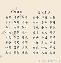 文藝的古詩句取名