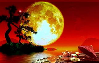 古詩有關(guān)元宵月亮詩句