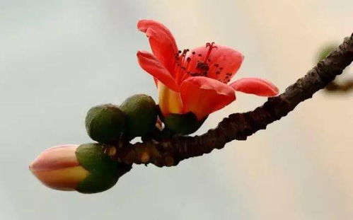 關(guān)于8數(shù)字的詩(shī)句