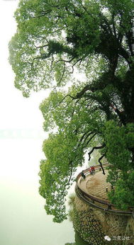 體現(xiàn)大自然的美的詩句,贊嘆大自然美的詩句,說大自然美的詩句