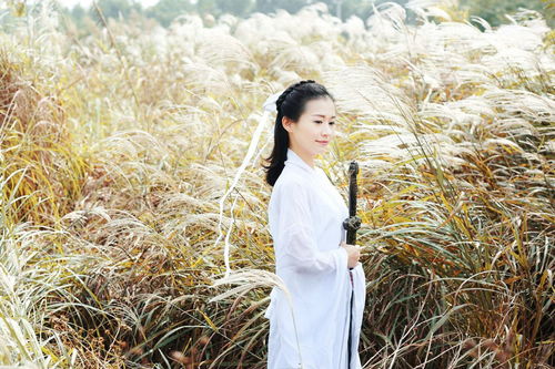 關(guān)于小龍女的詩句