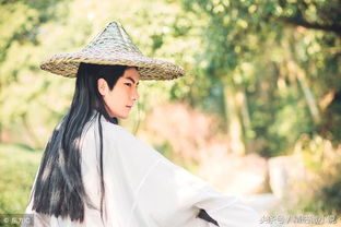 關于歌頌人精神的古詩句