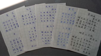 四級(jí)古詩(shī)句默寫