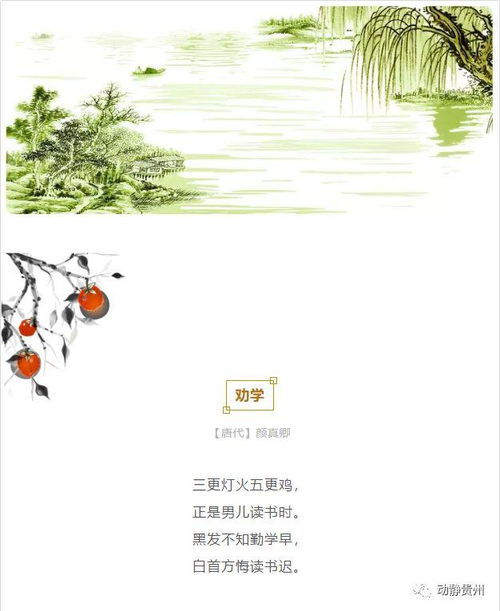 關(guān)于歲月不待人的詩句