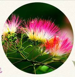 詩句,有哪些,于紅