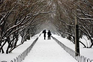 常見的描寫雪的詩句,描寫有關雪的詩句常見,帶雪的詩句常見