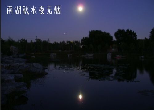 關于描寫秋水的詩句