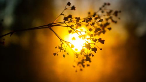 關(guān)于釋放心情的詩(shī)句