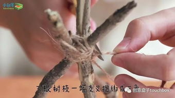 關于燈籠的簡短詩句