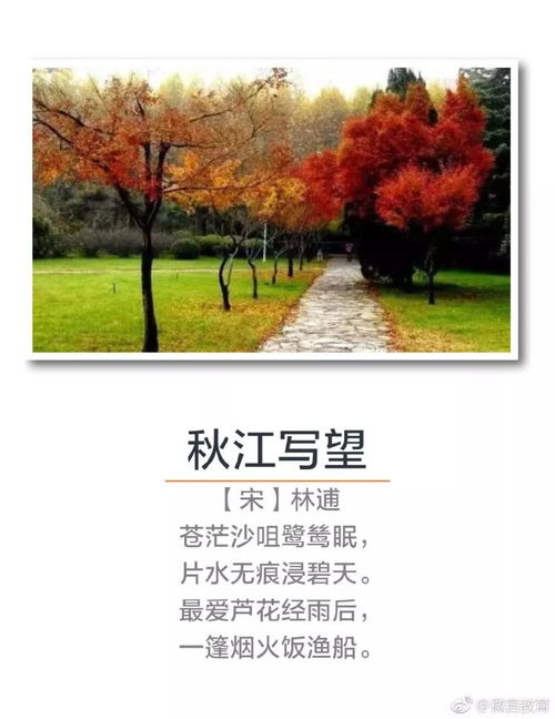 秋景,古詩詞,詩句