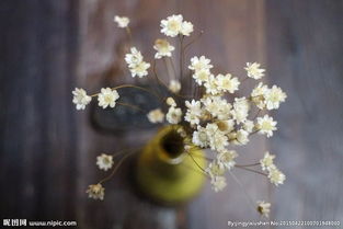 寫彼岸花花的詩句古詩