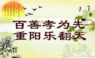 尊敬老人孝敬父母的古詩(shī)句