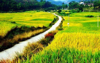 關(guān)于贊揚(yáng)家鄉(xiāng)詩句