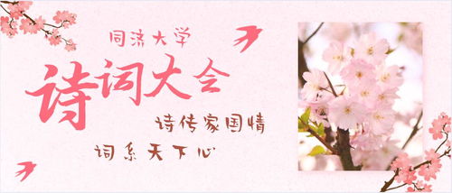 關于柚子的詩句文章及歌曲