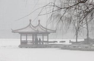 西湖雪的詩句古詩大全