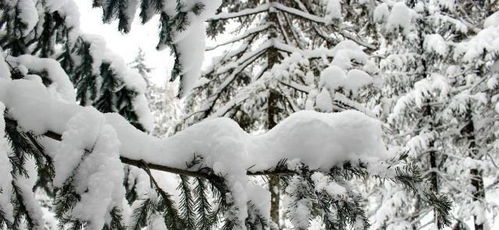 有關于面對人生困難的詩句