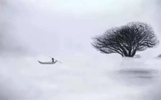 關(guān)于春風的雨的詩句有哪些