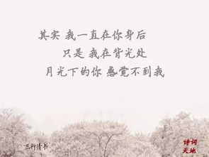 關(guān)于遇見(jiàn)的詩(shī)句樂(lè)觀