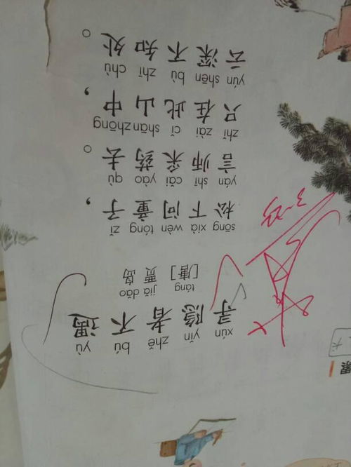 一年級描寫夏天的詩句古詩,夏天的詩句古詩小學一年級,一年級關(guān)于柳樹的詩句古詩