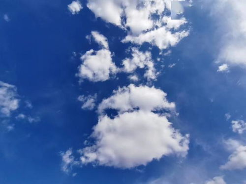 詩句,形態(tài),于云