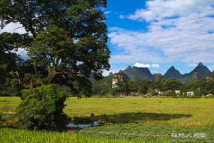 關(guān)于夏天田園風(fēng)光的詩(shī)句