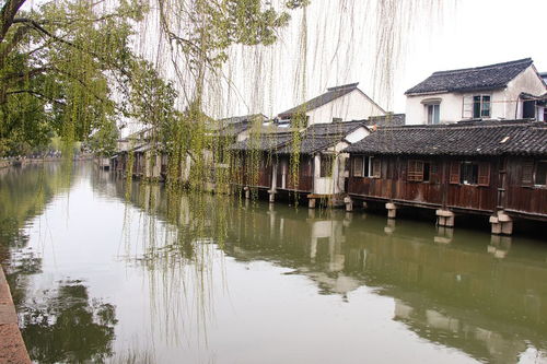 詩(shī)句,描寫,江南水鄉(xiāng)