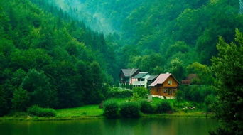 關(guān)于山林的風景詩句