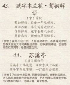 古詩,詩句,課外,春風(fēng)