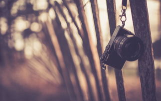 失戀悲傷的詩(shī)句古詩(shī)