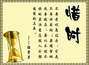 關(guān)于惜時(shí)的單句詩(shī)句