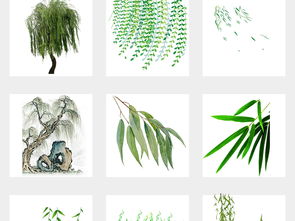 柳條,詩(shī)句,夏天