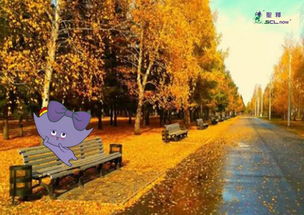 贊美秋天景色的詩(shī)句古詩(shī),贊美秋天收獲的詩(shī)句古詩(shī),贊美秋天湖水的詩(shī)句古詩(shī)