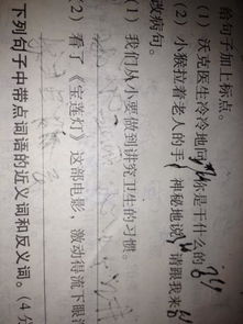 含有桃字的古詩詩句