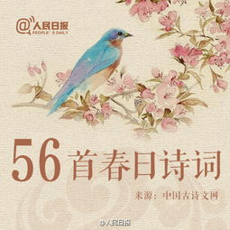 春花春柳的詩(shī)句古詩(shī)