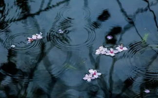 含有雨的古詩(shī)句