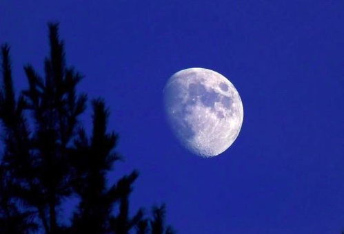 詩句,靈魂,美好