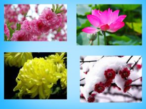 關(guān)于讀書和梅花的詩句